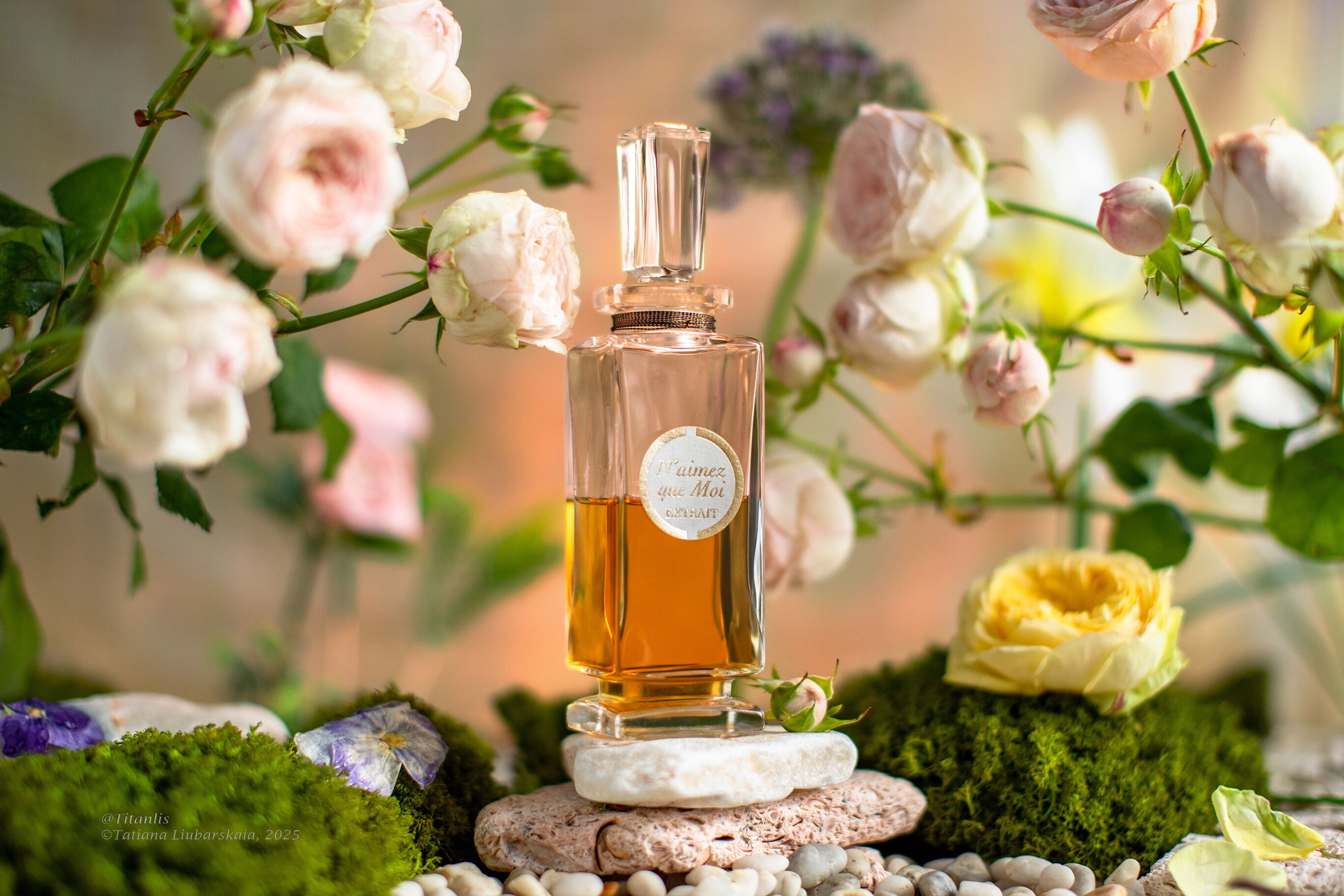 Vanilla Voyage by Maison Asrar – elegant, zoet en modern parfum
